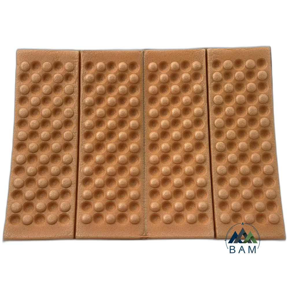 زیر باسنی Campsor