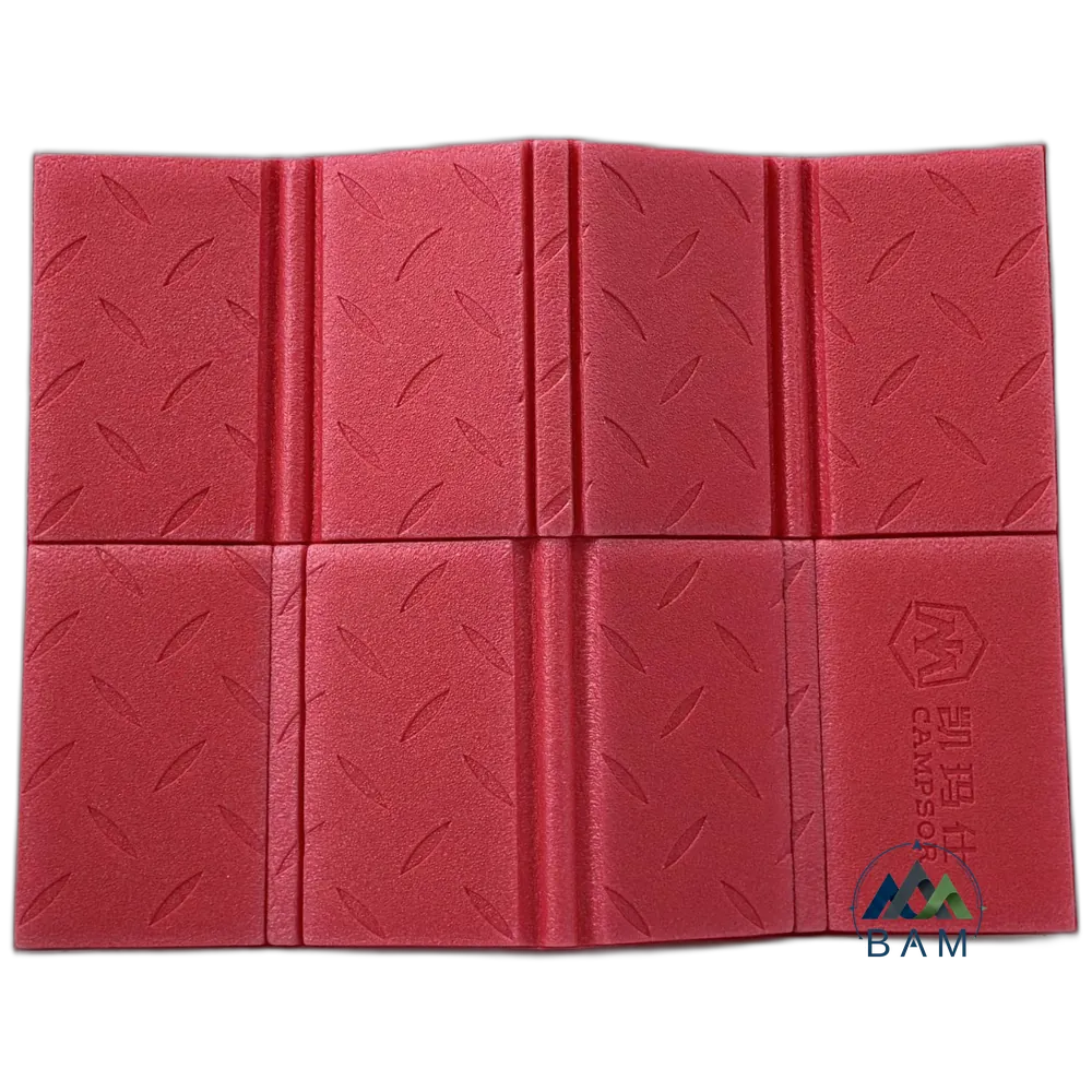 زیر باسنی Campsor